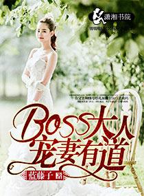 boss大人宠妻请节制漫画